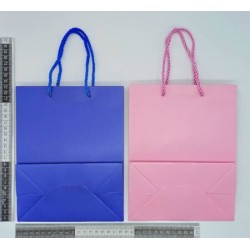 B – 152 bolsa de papel lisa variedad de colores 18×23 CM C/12 D2578